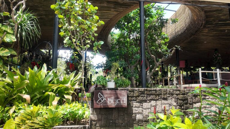 Coolest Food Spots in Sanur