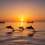 Where to Find the Best Sunrise in Bali